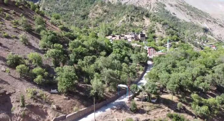 Erzincan’daki 10 sakız ağacı,‘anıt ağaç’ olarak tescillenip korumaya alındı.